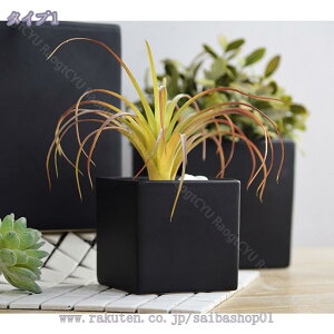 CeA Aؔ Vv ^Aؔ x[VbN Aؔ AeB[N pv^[ Ae v^[  z[  ItBX CeA t[|bg T{e