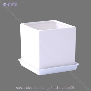 460~OFFN[| v^[ Ae AeB[N  CeA K[f|bg CeA n[u K[fjOpi 񂹐A ؍͔| 픫 ^Aؔ Aؔ A