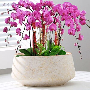 植木鉢 ベーシック 植物植木鉢 セラミック植木鉢 プランター 排水穴 鉢植え 観葉植物 多肉植物 鉢カバー サボテン鉢 広口 プラントポット園芸 フラワーベース 陶器鉢 いい雰囲気出す 円筒形