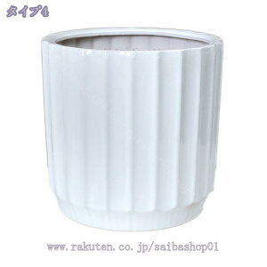 500~OFFN[| Aؔ A 퐻 Vv c rEt vX`bNgCt NGCeBu  ~` t[|bg IV |p e[ȗ  v^