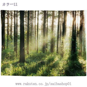 300~OFFN[| X̖ i^yXg[ wiz r[`^I |z ؘR 3D A t@^W[ X̌ 傫 z ډB e[N wi ^yXg[ Ri | x_[ J