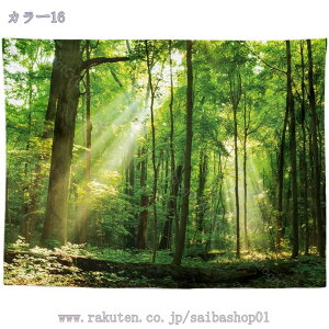 300�~OFF�N�[�|�� �X�̖� ���i�^�y�X�g���[ �w�i�z �r�[�`�^�I�� �|���z �ؘR��� 3D ���A�� �t�@���^�W�[ �X�̌� �傫�� �z �ډB�� �e�����[�N �w�i �^�y�X�g���[ ���R���i �|�� ���x���_�[ �J