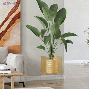 3500~OFFN[| v^[X^h t[X^h 30cm nC^Cv v^[{bNX v^[bN ԑ  Aؔ{bNX RpNg  _[NuE t[X^