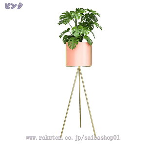 1600~OFFN[| v^[X^h X^h ACA a20cm 68/88cm ubN O[ AؔX^h K[fG |bgX^h v^[bN t[X^h  V