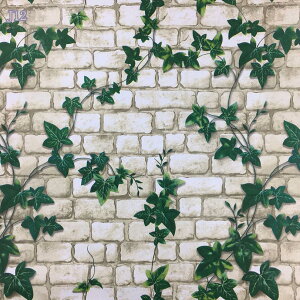 777~OFFN[| ǎ K ǎV[ CNV[g ͂   ǎV[g  Ζڒ K ̂ EH[V[ CeAV[ ͗lւ DIYtH[ h/