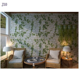 ǎV[ 10m ̂t NX K ͂ǎ C  h \Ă͂ ւ  CNV[g SV[g ی  ؖڒ n   gC Lb` k 