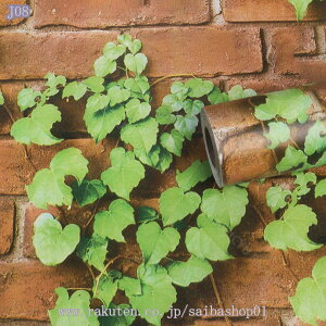 壁紙シール レンガ調 おしゃれ 木目 リメイクシート はがせる壁紙 接着剤不要 DIYシート 防水 防カビ ウォールステッカー 地中海風 3D 防水 立体 ライトグレー 厚手 防水 防汚 貼ってはがせる