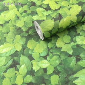 ǎ V[ ̂t  ǎV[ V[^Cv Lb` UCN ^C S4 EH[fR[V CeA  tH[ ǎ CNV[g \Ă͂ 