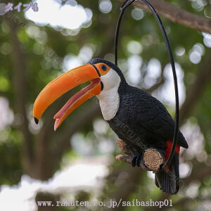 300~OFFN[| K[fjOG ݂艺 ގ ݂̒艺 uK[fIuWF ̕i ݂艺  CR ͋CAbv YȒu ObY G  a