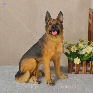 2000~OFFN[| ̒u Aj} eB[JbvhbO Ck   IuWF A hbO `[t  ObY I[ig K[fjO g JtF CeA 