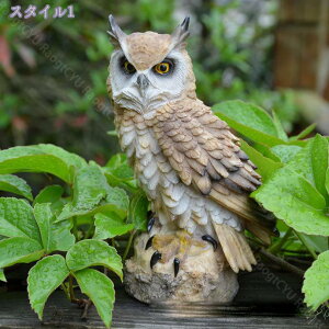 777~OFFN[| tNE ӂ낤 Ԃ̒u  Mtg Ԃ u CeA K[fjO K[fI[ig 蕨  D  l   v[g av[g  