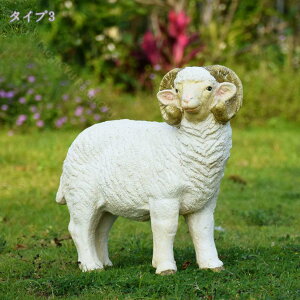3500~OFFN[|  qcW 傫 { K[fIuWF fBXvC Ђ uK[fIuWF  ͋C tBMA _ x_ K[fjO O̒̑