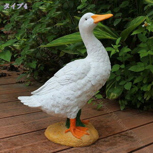 1000~OFFN[| O̒̑ Aq  uK[fIuWF  CeAG O Ђ ͋C _bN u  Aq̒u z[fR[V ̑ O