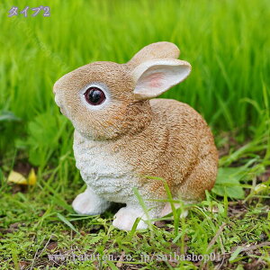 500~OFFN[|  u IuWF Zbg 킢  K[fjO eu [Ăɂ񂮒u e̒u tBMA Op ~j`A K[fjOG { ~͑