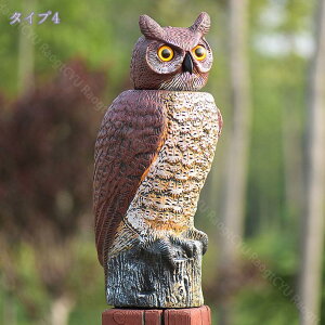 500~OFFN[| LxRx9  tNEu svc {ӂ낤  I[ig  AeB[N _ X ɒu fR[V CeA u  K