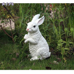 500~OFFN[| K[fI[ig ETM K[fjO u K[fjOG  K[fIuWF  CeAG 킢 K[f CeA Aj}IuWF {