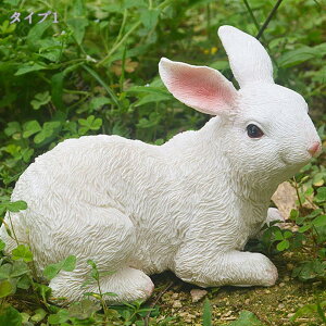 1000~OFFN[| u EE킴   u  S Aj}IuWF i [g[̑ g CeA IVȒu _ 