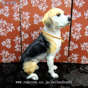 300~OFFN[|  u  K[fjO 蕨 IuWF I[ig CeA G   hbO ̒u Aj}IuWF IuWF u  IuWF 낢 