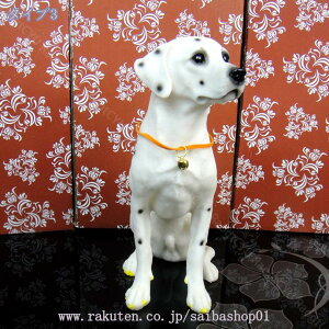 300~OFFN[|  u  K[fjO 蕨 IuWF I[ig CeA G   hbO ̒u Aj}IuWF IuWF u  IuWF 낢 