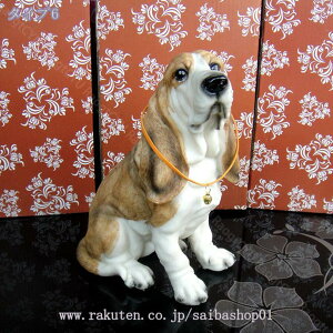 300~OFFN[|  u  K[fjO 蕨 IuWF I[ig CeA G   hbO ̒u Aj}IuWF IuWF u  IuWF 낢 