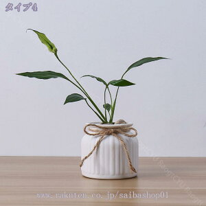 777~OFFN[| t[x[X  Vv ԓu t[|bg JtF X ItBX CeA n ֑} k ԕr Ԃт Ԋ  V Mtg v[g Ԃт 