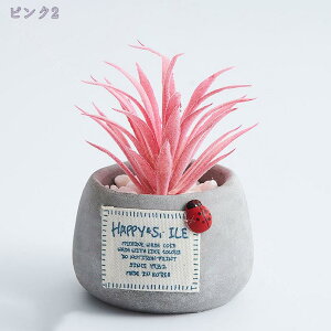 777�~OFF�N�[�|�� �N���G�C�e�B�u �l�H�����A�� �t�����[�|�b�g�t�� �~�j���A�� �����A�� �z�[���f�R���[�V���� �u�� �T�{�e�� 10��� ���₵��� �y����DIY�L�b�g �Z�����g�x�[�X �I�u�W�F ��