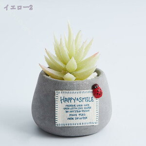 500~OFFN[| NGCeBu lHA t[|bgt ~jA A z[fR[V u T{e 10 ₵ yDIYLbg Zgx[X IuWF 