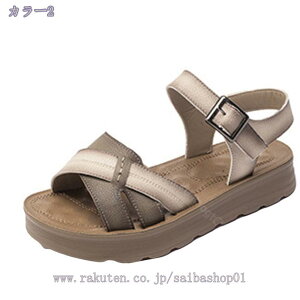 1000~OFFN[|  RtH[gT_ [q[ AEghA JWA fB[X }}V[Y ANXgbv l  y ₷ ₷ ؂񂱌C s fB