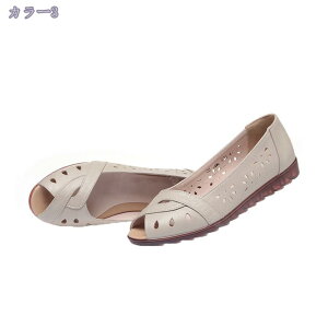 I[vgDpvX T_ }} tbgV[Y fB[X [q[ ᔽ  JWA y RtH[g ؂ r 傫TCY RaogtCYU