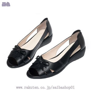 T_ fB[X EFbW I[vgD [q[ rWlX JWA ɂ y RtH[gpvX ʋ ʊw Vv y ɂȂ ₷ 傫TCY RaogtCYU