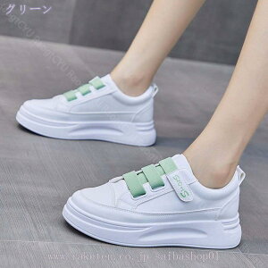 300~OFFN[| }WbNe[v  EhgD V xNXj[J[ fB[X  JWA tbgV[Y [Jbg ʋC ʊw EH[LO  X|[c RtH[