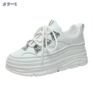 777~OFFN[| ^C Xj[J[ fB[X  [Jbg JWA 傫TCY Vv [XAbv t  H r vbgtH[ fB[X V[Y Xj[J[ wL