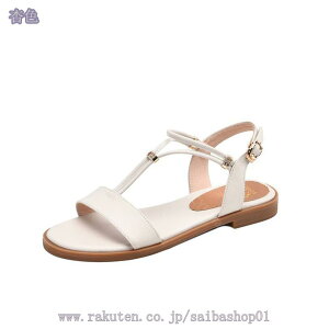 TCY r[`T_ fB[X r[T EFbWT_ ₷ CXg[t TXgbv Soh obNXgbv  EFbW\[ OfBG[^[ 