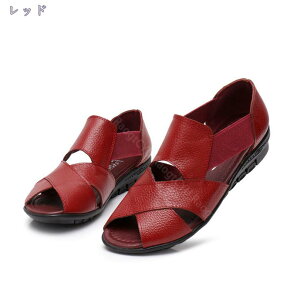 500~OFFN[| fB[X T_ pvX EFbW\[ u[cT_ RtH[g V[gu[c u[eB[T_ r t@bV 3cm [q[ ău[c T}[u[c 