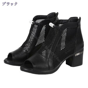 300~OFFN[| T}[u[c `L[q[ T_ I[vgD bV r  nCq[ obOWbp[ 6cmq[ ₷ ɂȂ 傫TCY u[cT_ t O