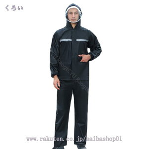 500~OFFN[| CX[c CR[g hH X[c ˃e[v oR ɂ  Y{ pc CEFA cot J Jbp ϐ ʊw ʋ 傫TCY Y 