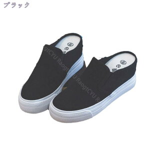 1000~OFFN[| ƂȂ Xj[J[ fB[X 7cm  ʋC T{ T_ Xb| JWA Xbp ₷ r r  i[XV[Y [t@[ [Jbg 