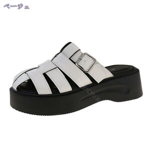 Xb|  Cq[ Xj[J[ fbLV[Y JWA ʊw ʋ 풅p wZ w EH[LO fB[X C EhgD L [t@[ _炩 ʋC 