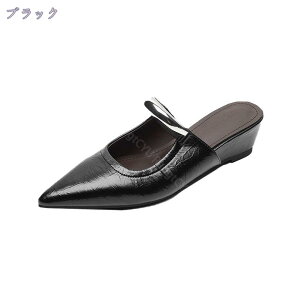 JWAV[Y Cq[ fB[ ~[  ʋC Xbp T_ Xb| C 5cmq[ gAbv |CebhgD 풅p o W[ C x t t