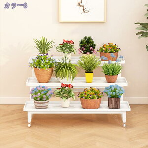 1000~OFFN[| 3i vgX^h LX^[t ͂AX^h  O ̐Ap u |bN K[fjObN v^[ K[fbN v^[X^