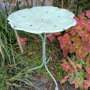 K[fjO t[v[gX^h t[X^h ACA  ԑ v^[ u vgX^h  O  ϗtA v^[ X^h    K[f 