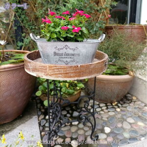 1000~OFFN[| t[X^h  K[fjOpi 둢  | X^h uX^h |bN ԑ O ACA k X`[ g AeB[N 