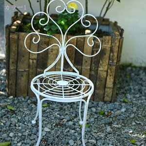 1000~OFFN[| ~jXc[ ԑ t[X^h ACA  킢 AeB[N ACAt[X^h  t[bN fBXvC  u X^h 