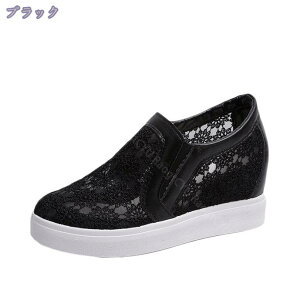 500~OFFN[| fB[X Xb| ԕ  D Vv NVbN 22.5 - 25cm _炩 t  ʋC U IV r  Vv  ₷  ɂɂ V