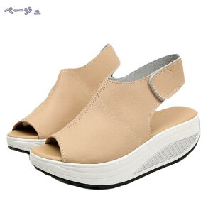 T_ fB[X X|[cT_ fB[XV[Y }WbNe[v ANXgbv y ₷ 5cmq[ 傫TCY xN ₷ ^V[Y Xj[J[