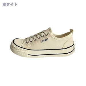 1000~OFFN[| Cq[Xj[J[ fB[X Xj[J[ fB[XXj[J[  r V[NbgV[Y V[Y [XAbv  nCq[ Cq[ q[