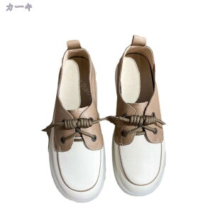 500~OFFN[| V[Y fB[X [Jbg V[Y  Xb| fB[X y vbgtH[V[Y Xb| Xj[J[ V[Y  Xb| fB[X 