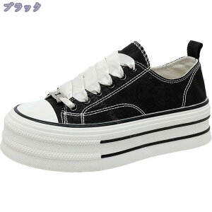 500~OFFN[| Xj[J[ fB[X y [JbgXj[J[ EH[LOV[Y 킢 WjA q JWA Vv  ʋ ʊw  [XAbvV[Y RC