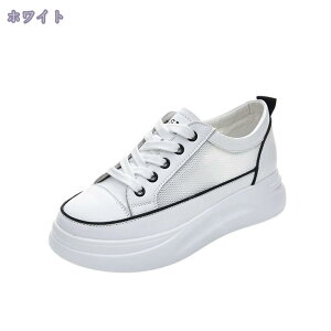 Xj[J[ jOV[Y EH[LOV[Y fB[X  WjA AEghA y  JWAV[Y ^C ʊw ʋ ʋC C w g[jO AEghA X