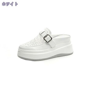 777~OFFN[| V[NbgV[Y ƂȂXj[J[ fB[X Xb| ₷ Xj[J[ ؂ ʋC y 풅 T_ ƂȂ Xj[J[  4.5cmg